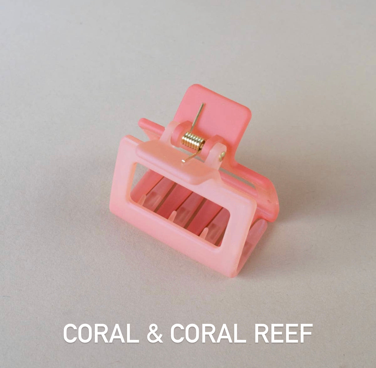 BEST OF BOTH Two Toned Hair Clip